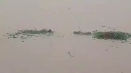 मेहकर: तालुक्यात ढगफुटी सदृश्य परिस्थिती, जनजीवन विस्कळीत; आमदार सिद्धार्थ खरात यांनी केली पाहणी