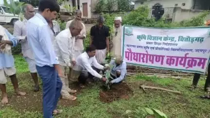 बड़ी सादड़ी: हरियालो राजस्थान अभियान के तहत पायरी गांव में हुआ पौधारोपण, ज़िला स्तरीय अधिकारी रहे मौजूद