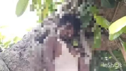 रॉबर्ट्सगंज: मारकुंडी की बलुई बंधी के पास बरगद के पेड़ से लटकता मिला युवक का शव