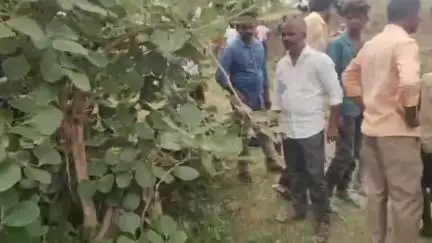 कळंब: अखेर पिंपळशेंडा येथील तृतीयपंथीच्या खुनाचे बिंग फुटले,आरोपीला नांदेड येथून पोलिसांनी केली अटक