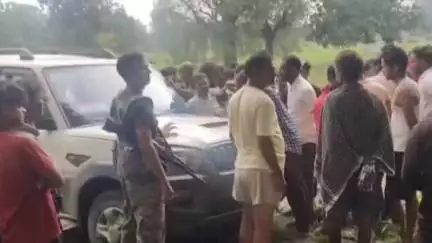 गोमिया: महुआटांड़ में हाथियों के झुंड का मजदूरों पर हमला, एक मजदूर की दर्दनाक मौत