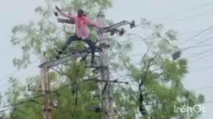 किशनगंज: बिना सुरक्षा उपकरणों के अस्पताल रोड स्थित बिजली पोल पर चढ़ा लाइनमैन, हादसे को न्योता