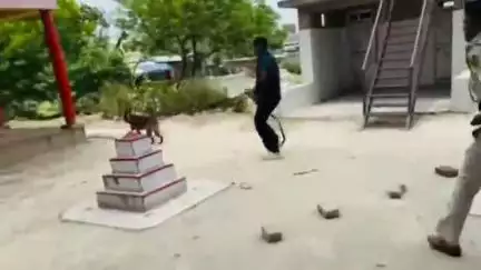 मोतिहारी: जिले के पिपरा थाना क्षेत्र में हुए निर्मम हत्या मामले में डॉग स्क्वायड टीम के डॉग को दौड़ाया, पुलिस ने टावर डंप कराया