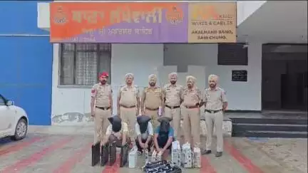 ਪੁਲਿਸ ਨੇ ਟੈਲੀਕਾਮ ਟਾਵਰ ਦੇ ਬੁਨਿਆਦੀ ਢਾਂਚੇ ਦੇ ਸਮਾਨ ਦੀ ਚੋਰੀ ਕਰਨ ਵਾਲੇ ਗਿਰੋਹ ਦੇ ਮੈਂਬਰਾਂ ਨੂੰ ਕੀਤਾ ਕਾਬੂ : ਐਸਐਸਪੀ