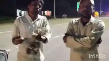 नीमडीह: जाहिरा मोड़ के पास बैल को बचाने के चक्कर में अनियंत्रित होकर गिर बाइक सवार, हुआ घायल