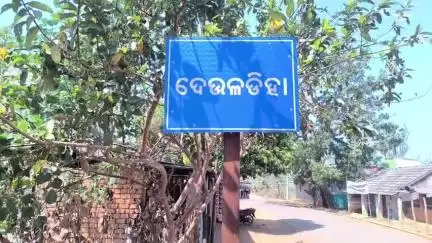 ତେଲକୋଇ: ଦେଉଳଡ଼ିହା ମିସନ ଅଞ୍ଚଳରେ ଗୋଠଛଡ଼ା ଦୁଇଟିଦନ୍ତା , ନଜର ରଖିଛି ତେଲକୋଇ ବନବିଭାଗ