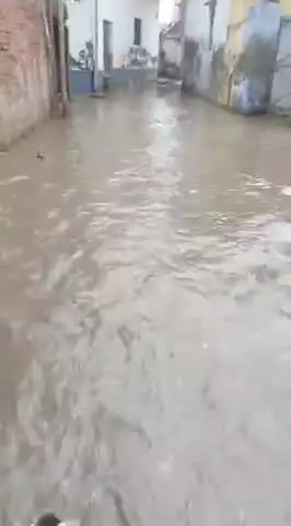शिकायत के बावजूद कोई कार्रवाई नहीं!
ग्राम मटिपुरा,तहसील हसनपुर,जिला अमरोहा में  संख्या 321का सरकारी तालाब #SDMHasanpur
