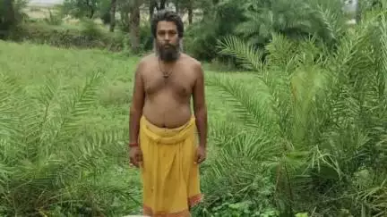 कुंदा: लोधिया में वज्रपात की चपेट में आने से गाय की हुई मौत, पीड़ित ने मुआवजे की मांग की