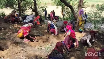 कुम्हेर: हरियालो राजस्थान और एक पेड़ मां के नाम अभियान के तहत कुम्हेर नपा क्षेत्र में 7500 पौधे लगाने का लक्ष्य