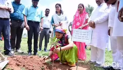 सूरजपुर: सूरजपुर जिले में 'एक पेड़ मां के नाम 2.0' अभियान के अंतर्गत एक दिन में हुआ 2 लाख 38 हजार 994 पौधों का सामूहिक वृक्षारोपण