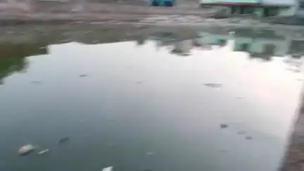 नूह: नगीना में घरों में भरा नालियों का गंदा पानी , लोगों के लिए समस्या, समाधान कराने की मांग #jansamasya