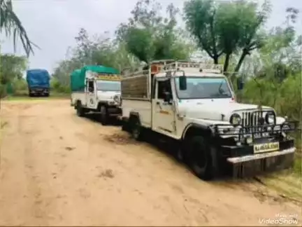 भीनमाल: भीनमाल में अवैध लकड़ी परिवहन पर बड़ी कार्रवाई, लकड़ी से भरा एक ट्रक और दो पिकअप वाहन किया गया जब्त