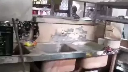 చిగురుమామిడి: విద్యుత్ అధికారుల నిర్లక్ష్యం వల్ల కరెంట్ షాక్ తగిలి మూగ జీవాలు మృతి