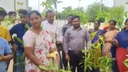 దర్శి: దర్శి పట్టణంలో చంద్రన్న కార్యక్రమంలో పాల్గొన్న మండల వ్యవసాయ అధికారిని రాధా