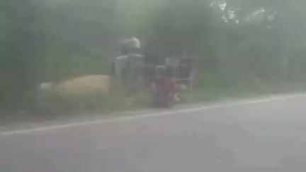 सिधौली: तहसील सिधौली के नीलगांव मार्ग पर भूसे से भरा ट्रक पलटा, टला बड़ा हादसा