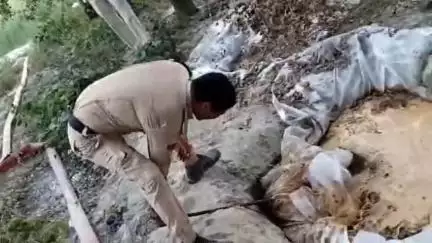 मोतिहारी: पूर्वी चंपारण मोतिहारी जिले में A.L.T.F. ने 17,500 लीटर शराब का विनिष्ट किया, 02 भट्टी ध्वस्त, 01 गिरफ्तार