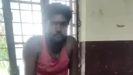 नौतनवा: बघेला नाल के पास पम्पिंग सेट से पानी चला रहे युवक पर मगरमच्छ ने किया हमला, युवक हुआ जख्मी और रेफर