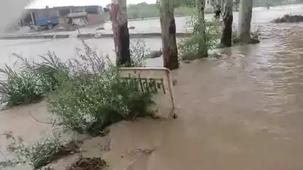 साढौरा: सढौरा: नकटी नदी में बाढ़ से कल्याणपुर, गढ़ी विरान के रिहायशी इलाकों में घुसा पानी, फसलें खराब