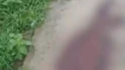 बाघमारा/कतरास: कृष्णापूरी कॉलोनी के दुखितडीह मार्ग पर जगह-जगह मिला खून