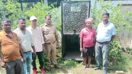 महाराजगंज: पकड़ियार बिशुनपुर में तेंदुए को पकड़ने के लिए वन विभाग ने लगाया पिंजड़ा