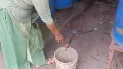 कोटद्वार: कोटद्वार के हल्दूखाता निवासी डा. माधुरी डबराल ने पिछले 20 वर्षों से वर्मी कंपोस्ट तैयार कर स्वरोजगार का बनाया माध्यम