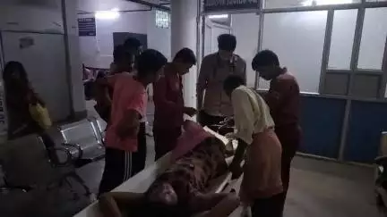 गोड्डा: महड़ा कठौन गाँव में घर के पीछे टहल रही किशोरी को साँप ने काटा, सदर अस्पताल में इलाज जारी