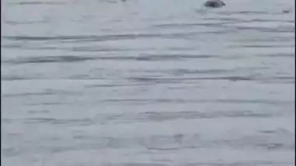 പട്ടാമ്പി: ഭാരതപ്പുഴയിൽ വീണ്ടും അജ്ഞാത മൃതദേഹം, വെള്ളിയാങ്കല്ല് തടയണയിലാണ് മൃതദേഹം പൊങ്ങിയത്