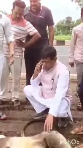 आष्टा: विधायक ने हाईवे पर घायल दो लंगूरों को अस्पताल पहुंचाया, सड़क पार करते समय वाहन से टक्कर की आशंका