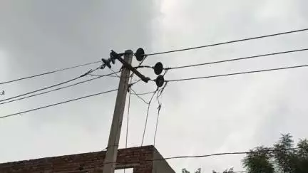 लालसोट: लालसोट के राव का कुआं बालाजी मंदिर के समीप 11 केवी बिजली के संपर्क में आने से राष्ट्रीय पक्षी मोर की हुई मौत