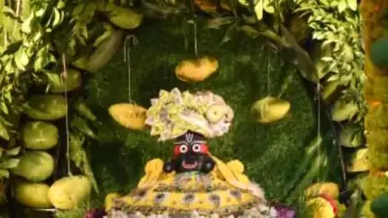 देवास: काला नी बाग स्थित मंदिर में 1 लाख 11 हजार से अधिक पाठ होने पर गणेश जी का जगन्नाथ जी के रूप में श्रृंगार