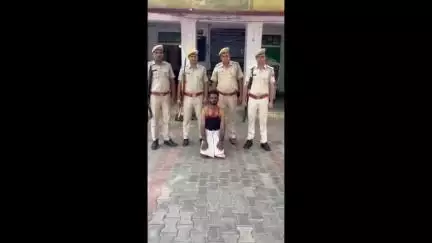 लालसोट: लालसोट थाना पुलिस ने करीब 20 महीने से फरार गोवंश तस्करी के आरोपी को किया गिरफ्तार