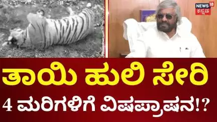 Tiger And Four Cubs Found Dead In Chamarajanagara | ತಾಯಿ ಹುಲಿ ಸೇರಿ 4 ಮರಿಗಳಿಗೆ ವಿಷಪ್ರಾಷನ ಶಂಕೆ