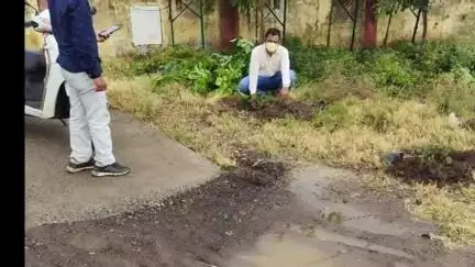 चौरई: चौरई नगर में जल गंगा संवर्धन अभियान के तहत पौधारोपण और साफ़-सफाई की गई
