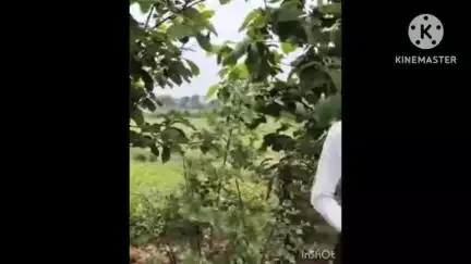 कोरबा: दादर में नशे में धुत बदमाशों ने युवक से मोबाइल और पैसे लूटने की कोशिश की, युवक ने किया विरोध