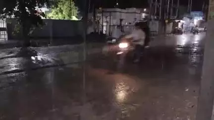 પાલીતાણા: શહેર અને ગ્રામ્ય વિસ્તારમાં ધોધમાર વરસાદ પડ્યો વાતાવરણમાં ઠંડક પ્રસરી