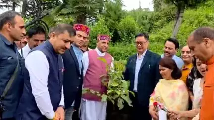 शिमला शहरी: केंद्रीय मंत्री रिजिजू ने पौधारोपण, प्रदर्शन, मॉक पार्लियामेंट और संगोष्ठी के माध्यम से आपातकाल के 50 वर्ष मनाए