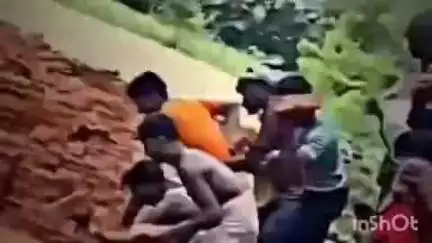 लखीमपुर: ईंटों की चोट के कारण तेंदुए की अधिक रक्त रिसाव से हुई मौत, वीडियो वायरल होने पर अज्ञात के खिलाफ दर्ज हुआ केस