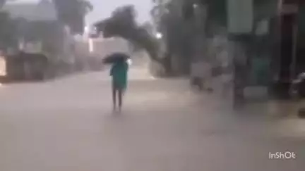 बलौदाबाज़ार: बलौदा बाजार में 2 घंटे की मूसलाधार बारिश के बाद किसानों में खुशी, इस बार खरीफ की फसलों को मिलेगा बड़ा फायदा