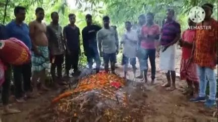 ঝাড়গ্রাম: রাধানগরে ভগবানের নামে উৎসর্গ করা এক গবাদি পশুর মৃত্যুতে হরিনাম সংকীর্তন