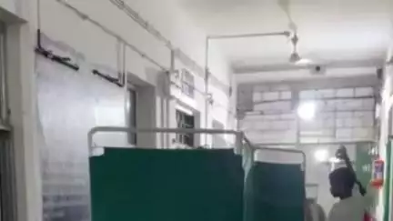 चक्रधरपुर: चक्रधरपुर के लुपुंगकुटी गांव में सर्पदंश से महिला की तबीयत बिगड़ी, अस्पताल में भर्ती