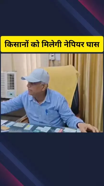 गाज़ियाबाद: जिले के किसानों को मिलेगी अफ्रीका की नेपियर घास, चारे की समस्या का होगा समाधान