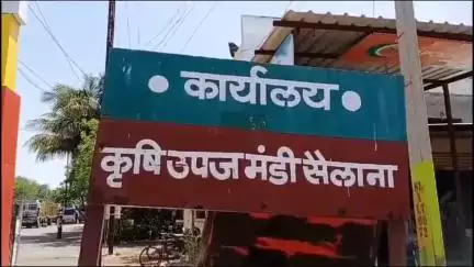 सैलाना: कृषि उपज मंडी सैलाना में आज सोयाबीन ₹2950 से ₹4799 प्रति क्विंटल बिका, अन्य उपज की भी आवक हुई