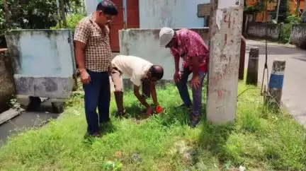 বারুইপুর: বারইপুর পশ্চিম ১নং মন্ডলের BJP সভাপতি গৌতম চক্রবর্তীর নেতৃত্বে বারইপুর বিভিন্ন জায়গায় বৃক্ষরোপণ কর্মসূচি পালন করা হলো