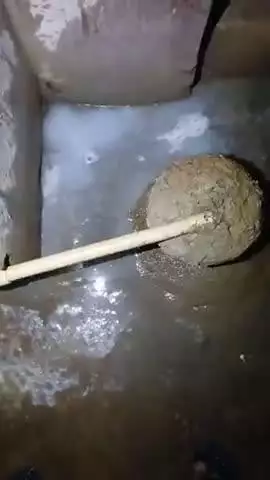 गोगरी: मुझे रोबोट एआई कंप्यूटर कुत्ता ब्रेनचिप से बिहारपुलिस के द्वारा 7 वर्षों से हाईजैक करके दुर्लभ मौत के साथ 3050 बार हत्या