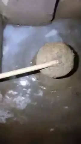 गोगरी: मुझे रोबोट एआई कंप्यूटर कुत्ता ब्रेनचिप से बिहारपुलिस के द्वारा 7 वर्षों से हाईजैक करके दुर्लभ मौत के साथ 3050 बार हत्या