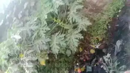 उमरेड वार्डनंबर-15 मंसूरी मोहल्ला में भरा पानी और रोड में भी आया पानी लोगो को हुई दिक्कट #umreth #chindwara #ABPnews