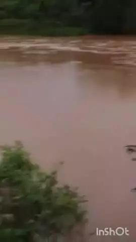 ಮೂಡಿಗೆರೆ: ಧಾರಾಕಾರ ಮಳೆ ಹಿನ್ನೆಲೆ ಕೆಸವಳಲು ಸಮೀಪ ಅಪಾಯದ ಮಟ್ಟ ಮೀರಿ ಹರಿಯುತ್ತಿರುವ ಹೇಮಾವತಿ ನದಿ