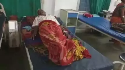 डिंडौरी: जुनवानी गांव में सो रहे अधेड़ को मच्छरदानी के ऊपर से सांप ने काटा, अस्पताल में इलाज जारी