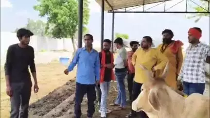 आंवला: आंवला के कंथरी गौशाला में व्यवस्था की खुली पोल, 83 गोवंश के लिए न चारा काटने की मशीन, न साफ पानी