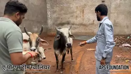 इसके पैर में सुजा घुस गया था कितना दर्द हो रहा होगा…

Respect Girls help poor help animals 

#apsgurjar #help #viral #support #gwalior